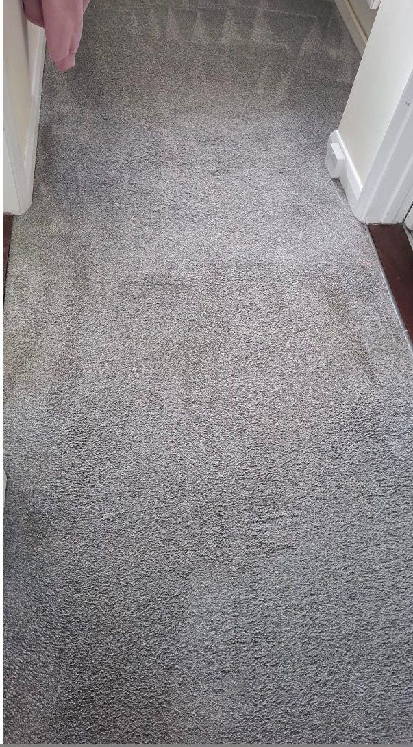 Same carpet after Eastrada hot-water extraction — original colour and texture restored