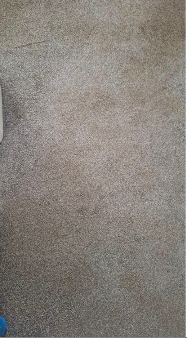 Commercial carpet with visible traffic lanes and embedded soiling